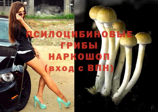 крисы Алексеевка