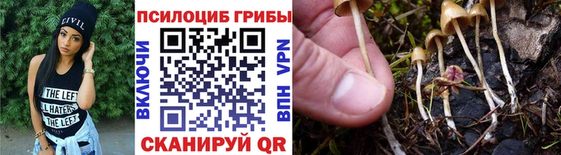 Псилоцибиновые грибы ЛСД Бахчисарай